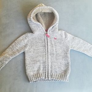 Fuzzy Hood, Gray Zip Up Sweater.